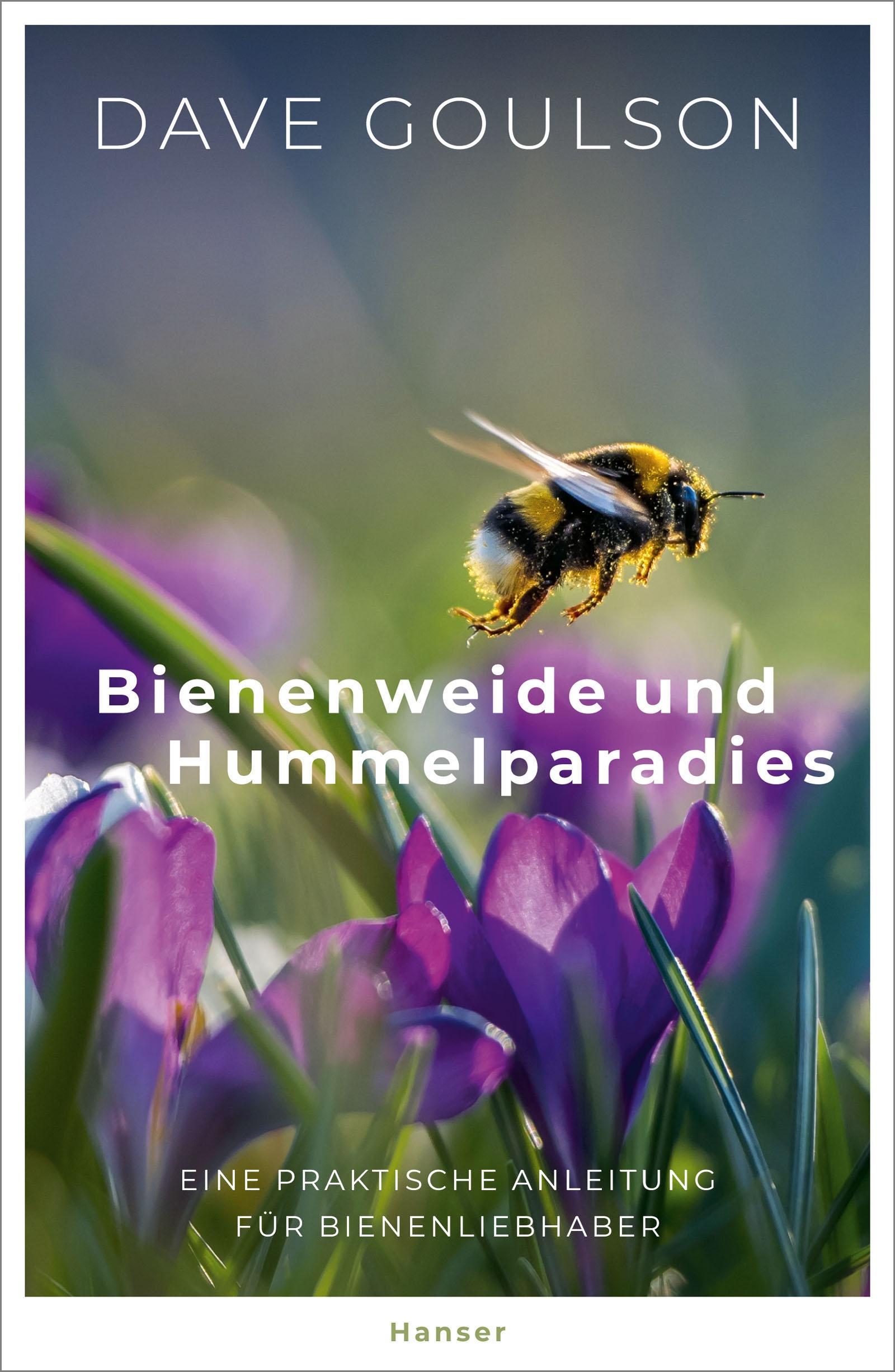 Bienenweide und Hummelparadies