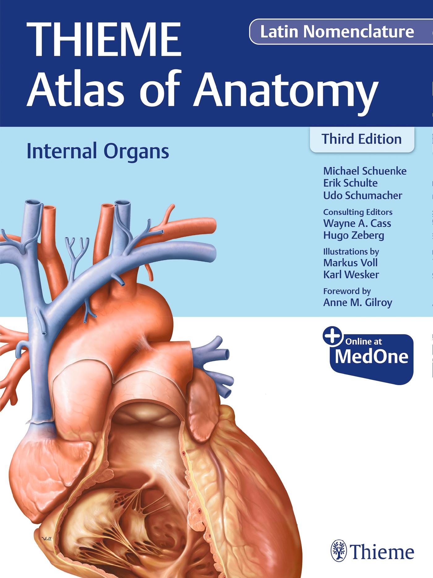 Internal Organs (Thieme Atlas of Anatomy), Latin Nomenclature