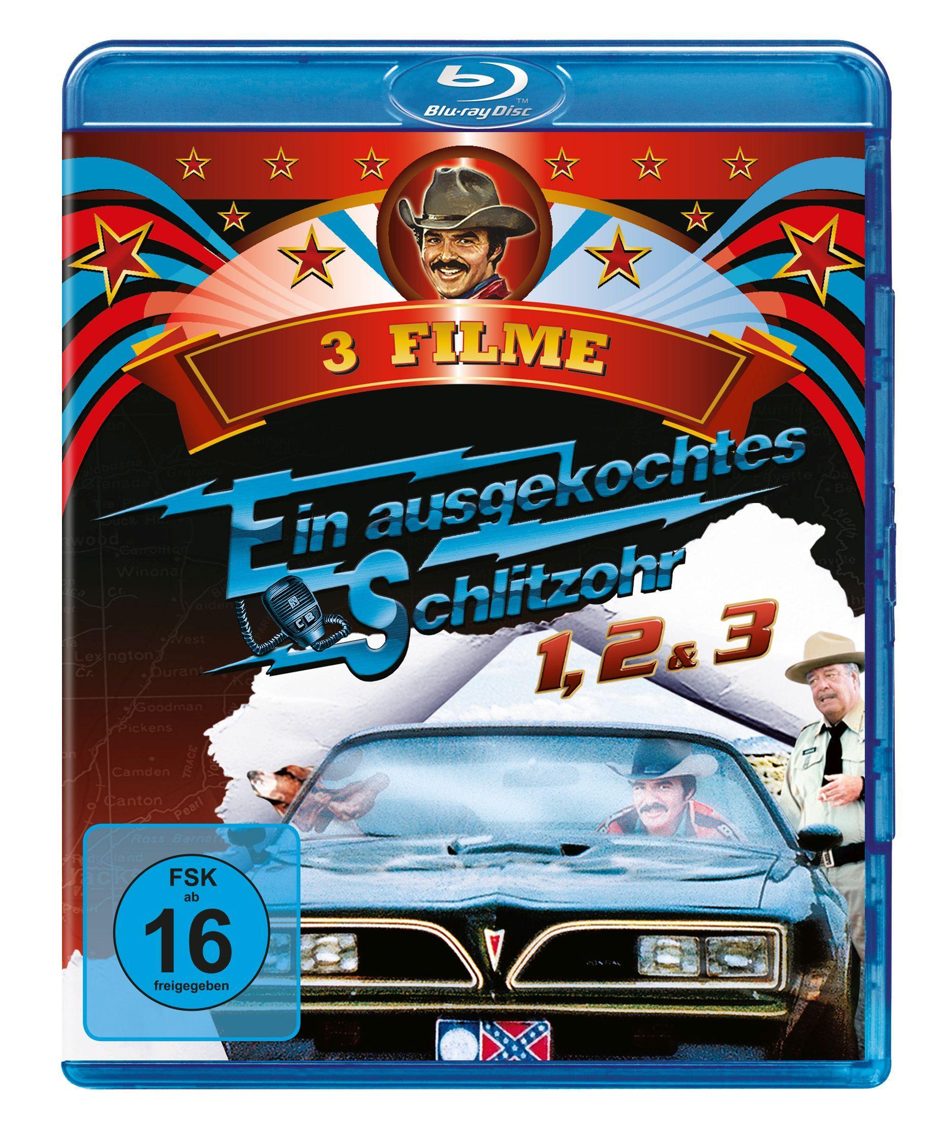 Ein ausgekochtes Schlitzohr 1-3