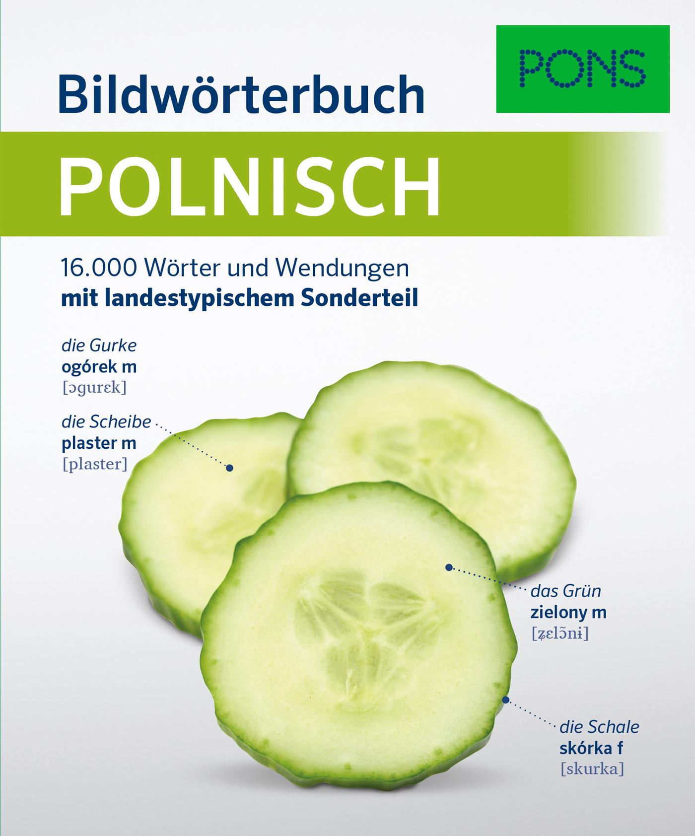 PONS Bildwörterbuch Polnisch