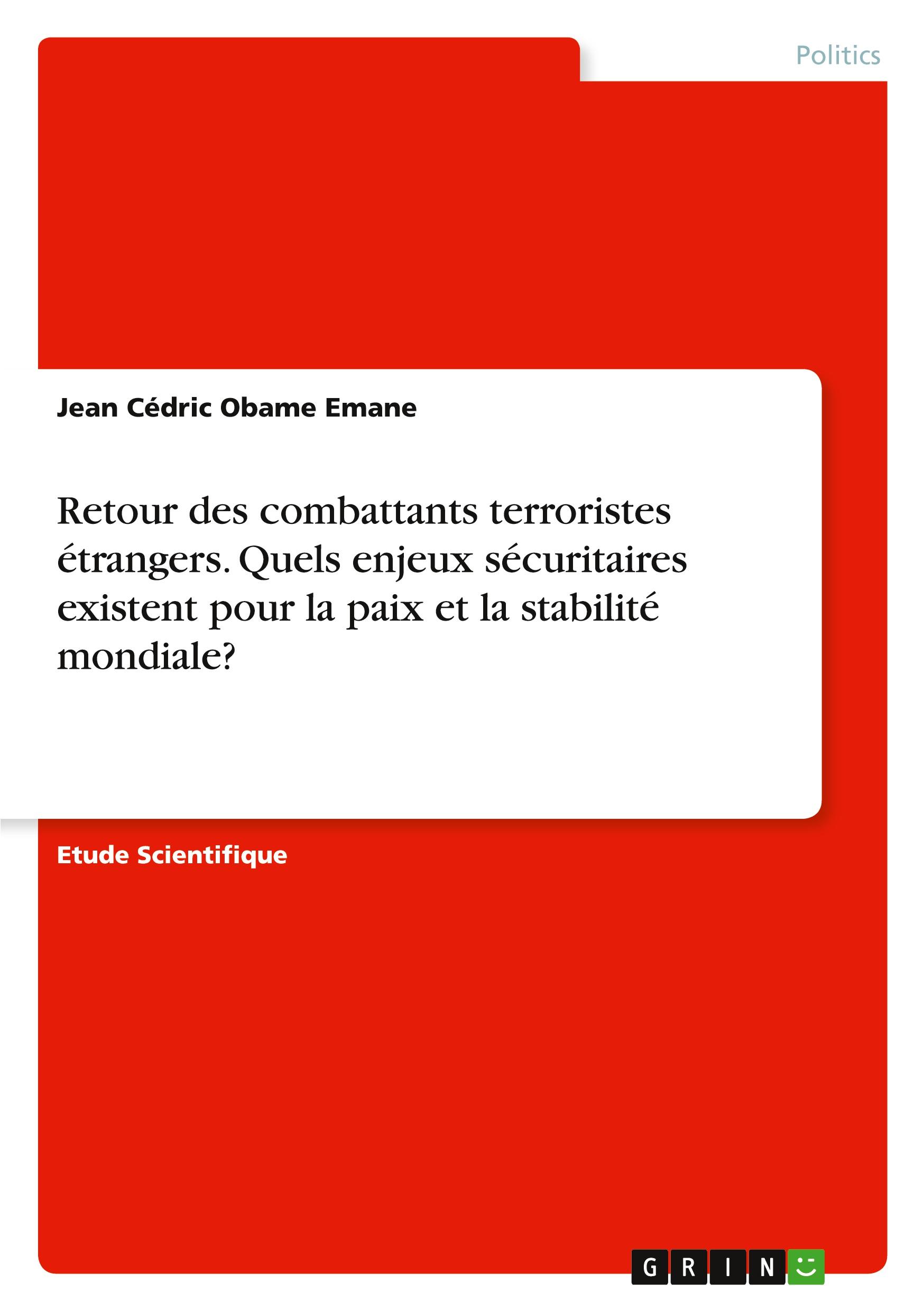 Retour des combattants terroristes étrangers. Quels enjeux sécuritaires existent pour la paix et la stabilité mondiale?