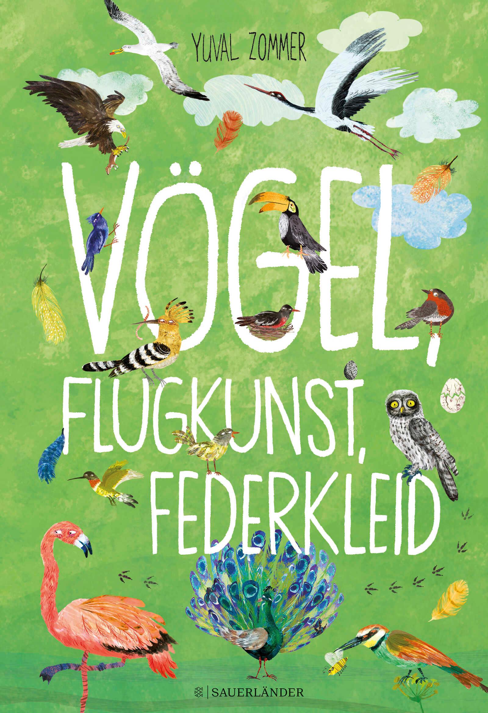 Vögel, Flugkunst, Federkleid