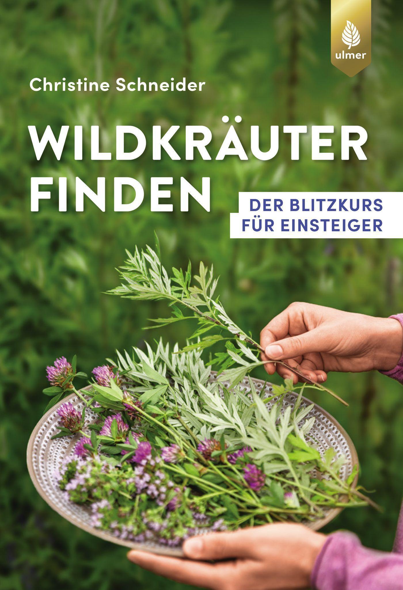 Wildkräuter finden