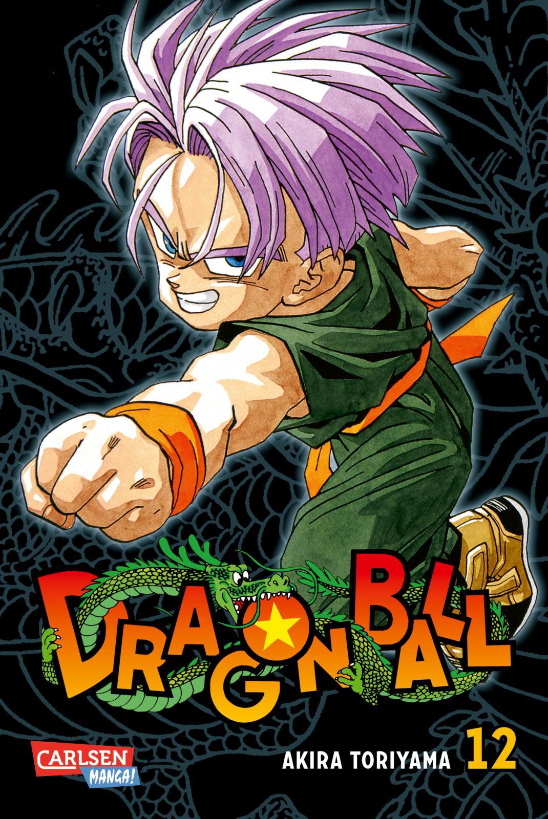 Dragon Ball Massiv 12