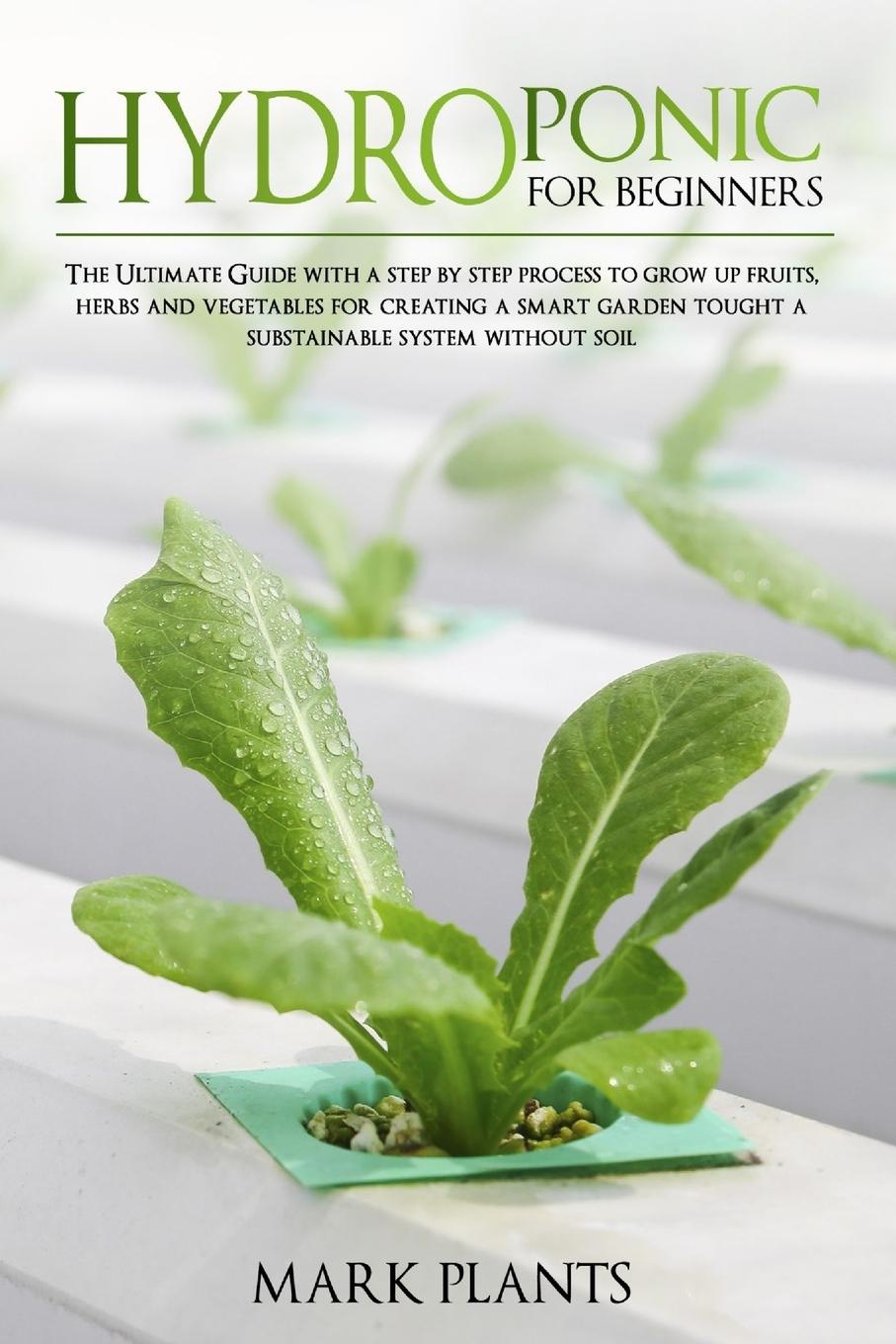 Hydroponics for Beginners