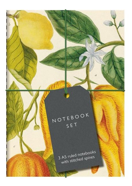 Botanical Art Notebook Set - Lemon, Chillis and Apples