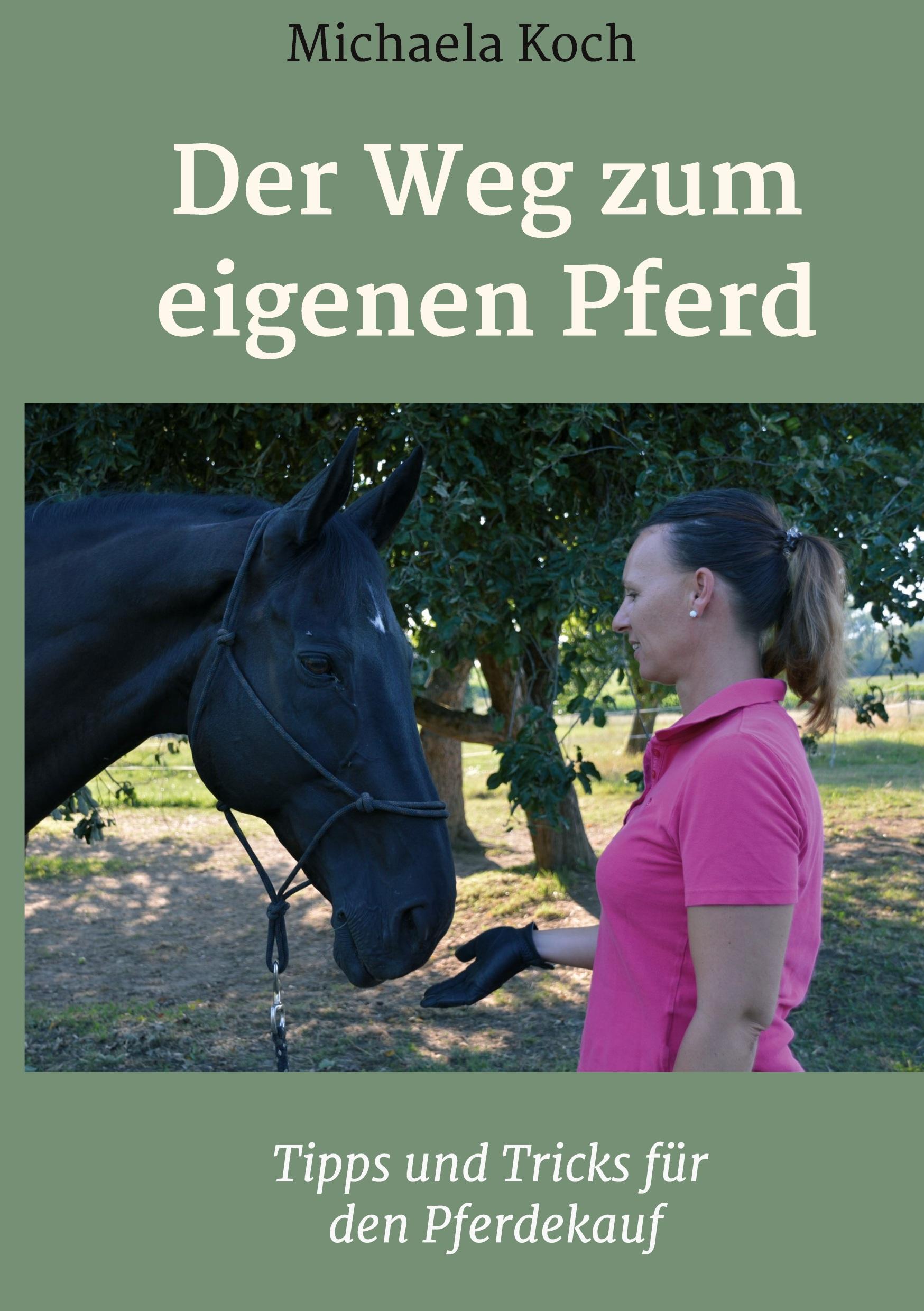 Der Weg zum eigenen Pferd