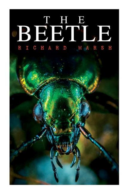 The Beetle: A Supernatural Thriller Novel