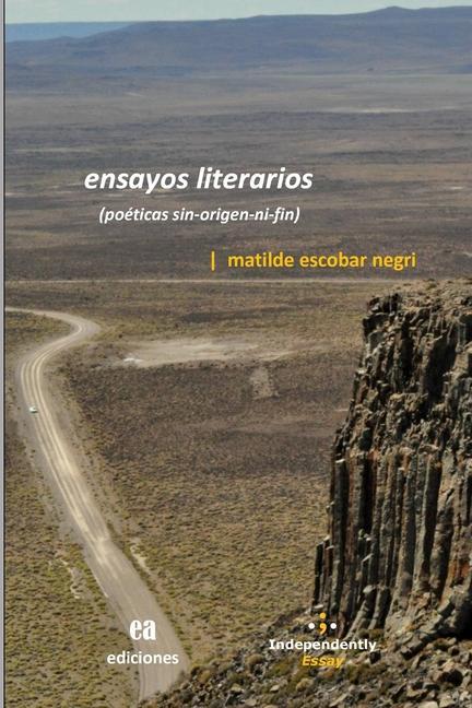 Ensayos literarios: (poéticas sin-origen-ni-fin)