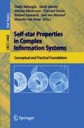 Self-star Properties in Complex Information Systems