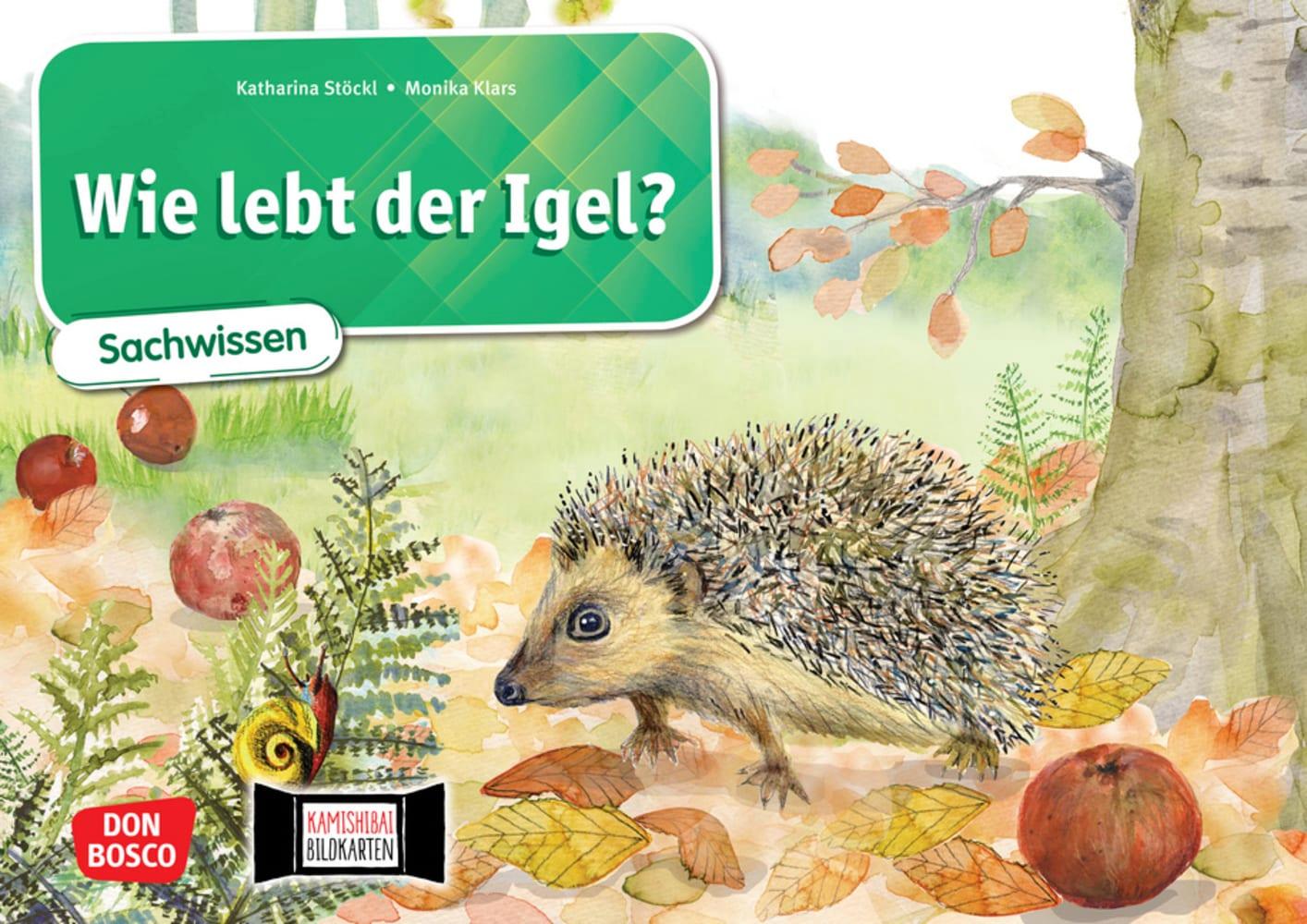 Wie lebt der Igel? Kamishibai Bildkartenset.