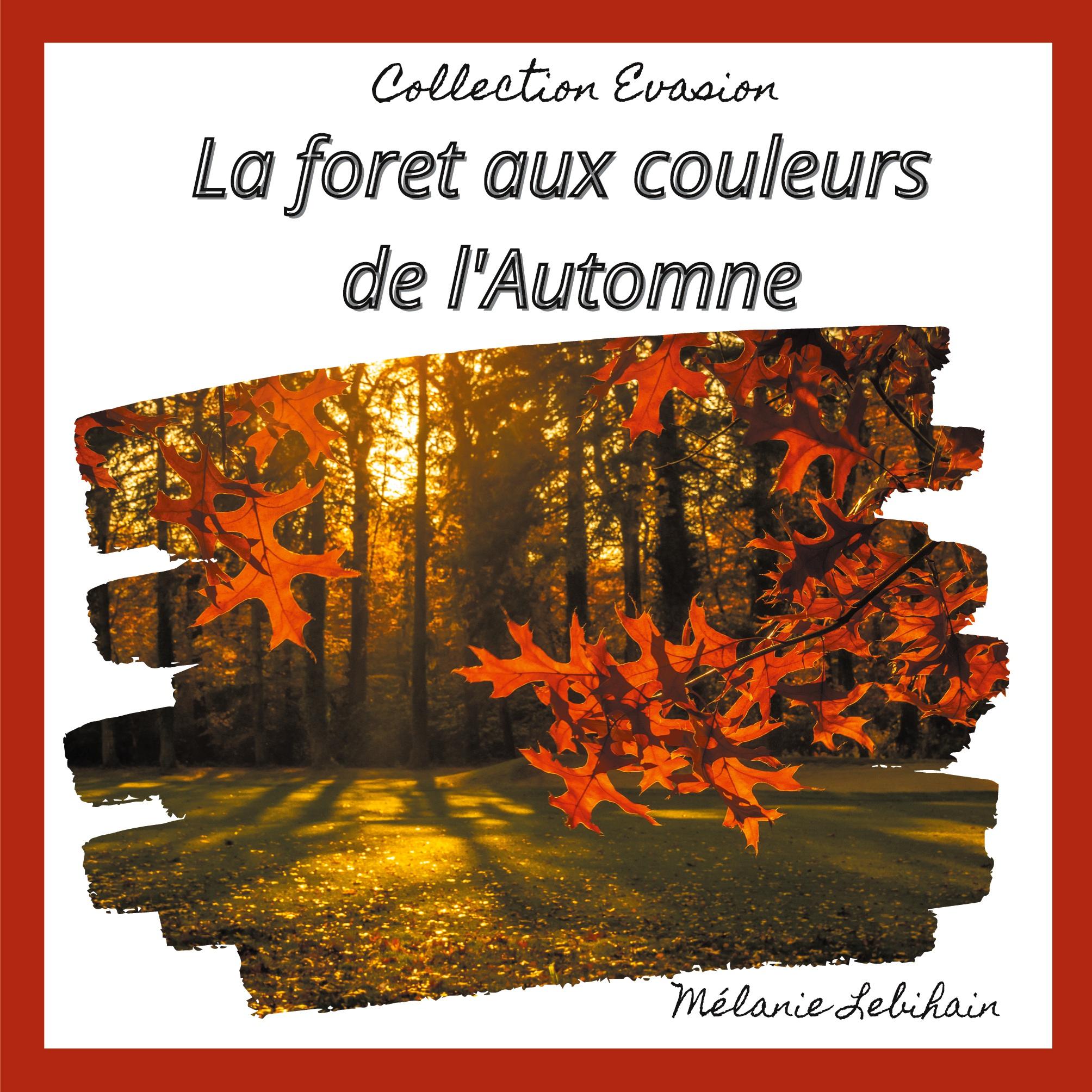 La forêt aux couleurs de l'Automne