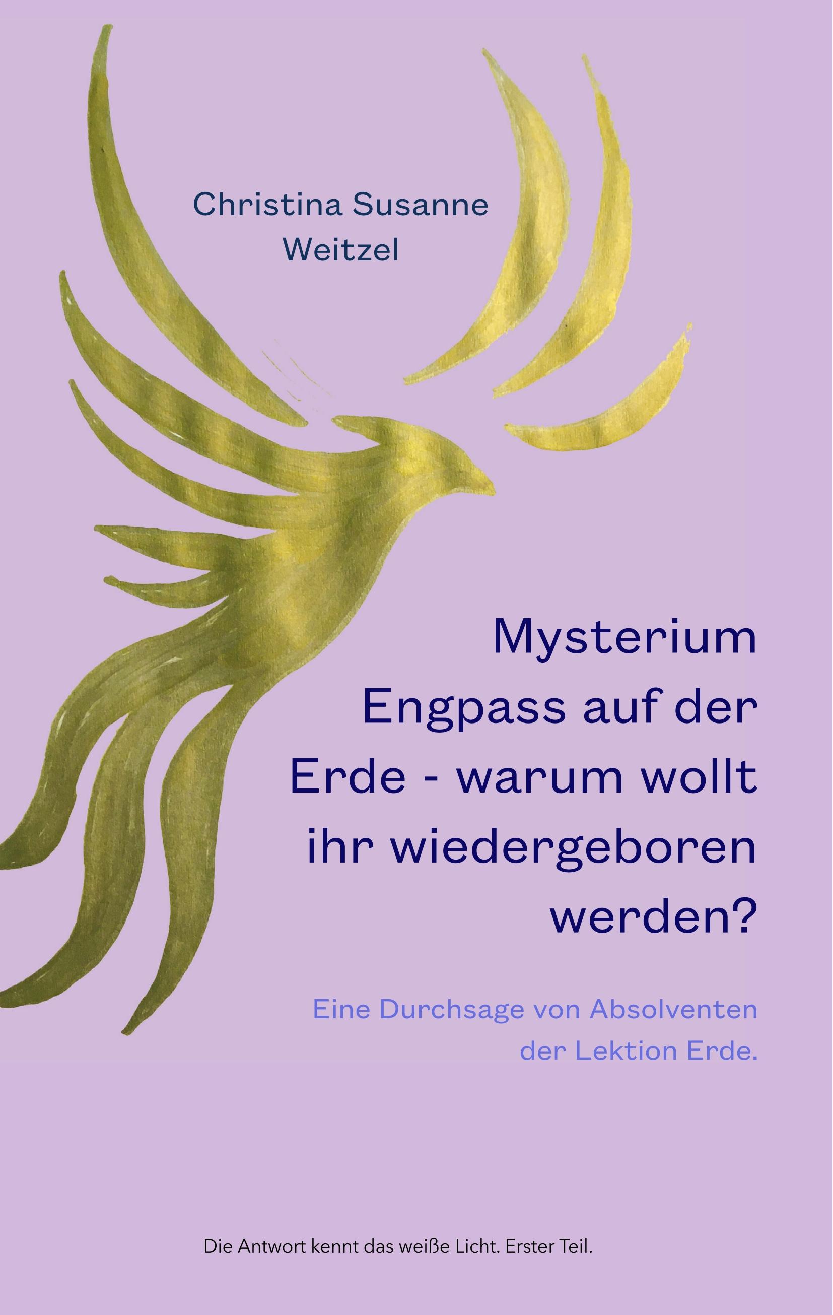 Mysterium Engpass auf der Erde - warum wollt ihr wiedergeboren werden?