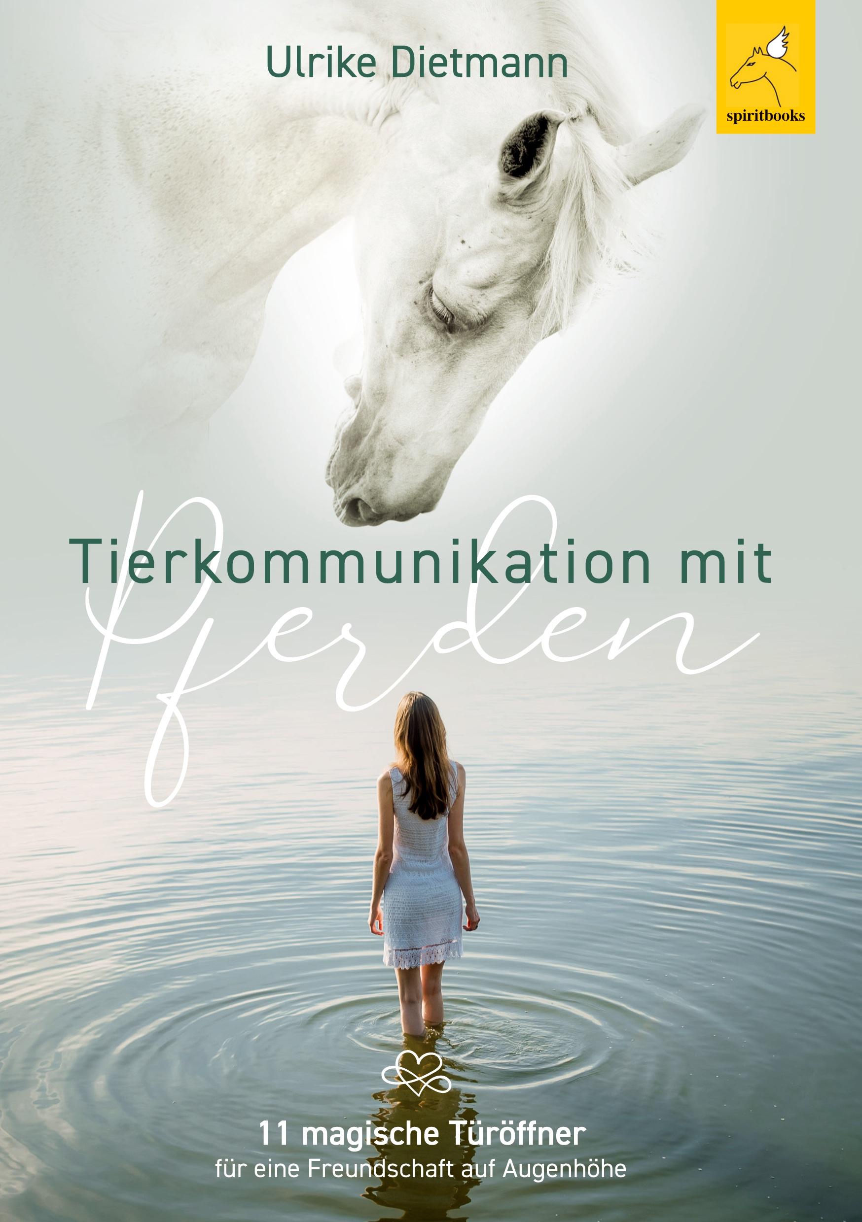 Tierkommunikation mit Pferden