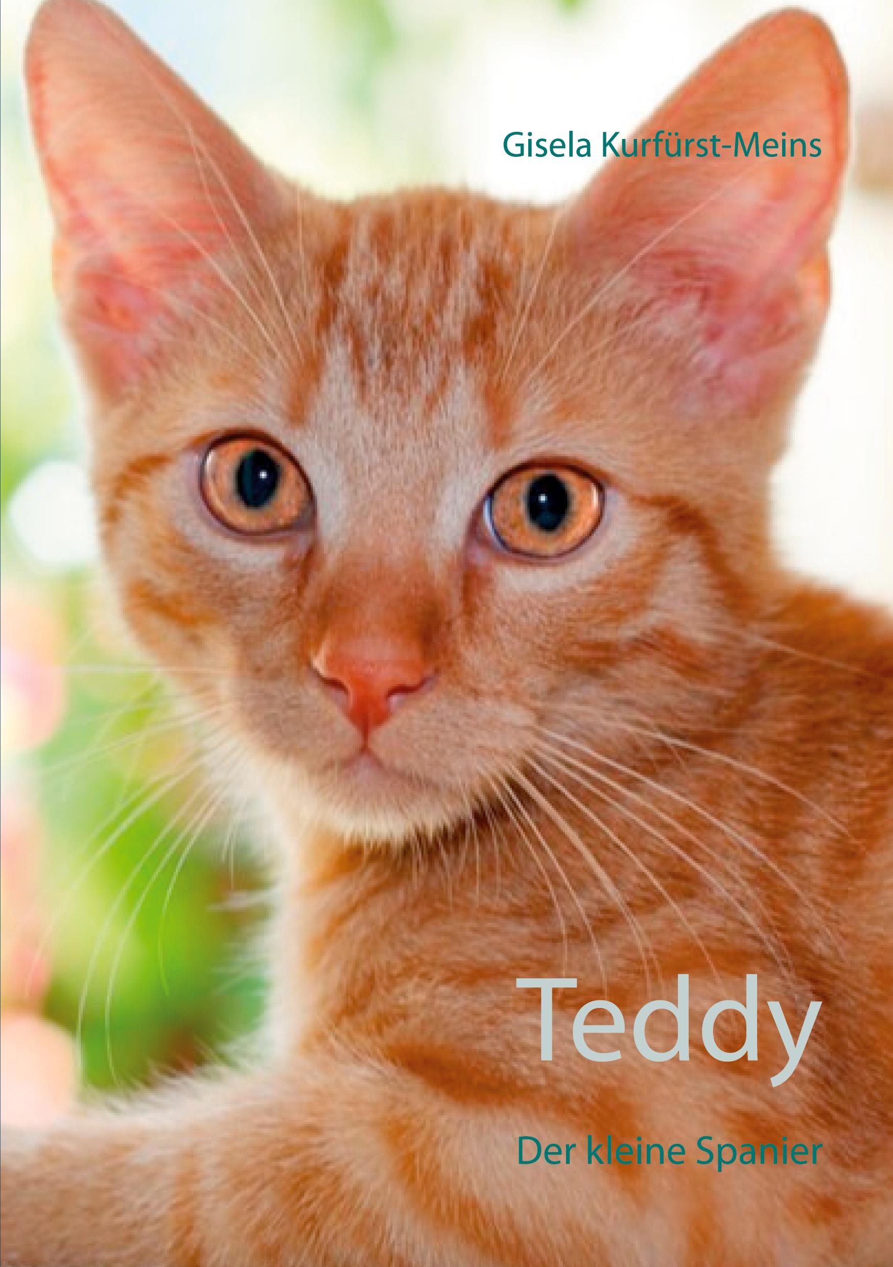 Teddy