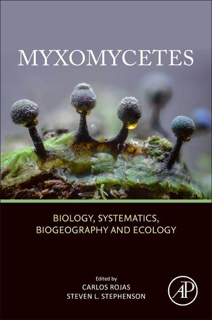 Myxomycetes