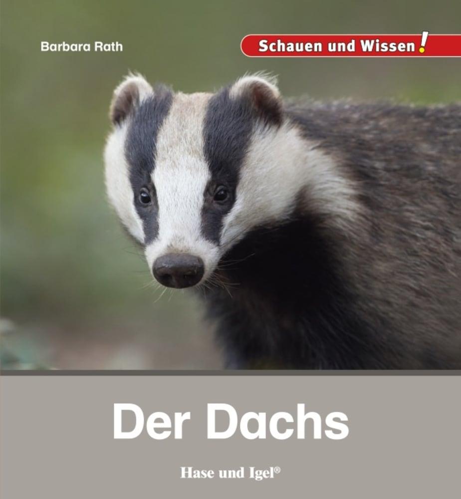 Der Dachs