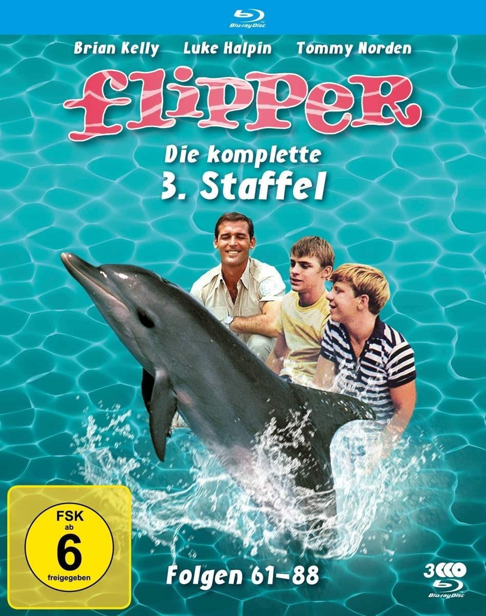 Flipper