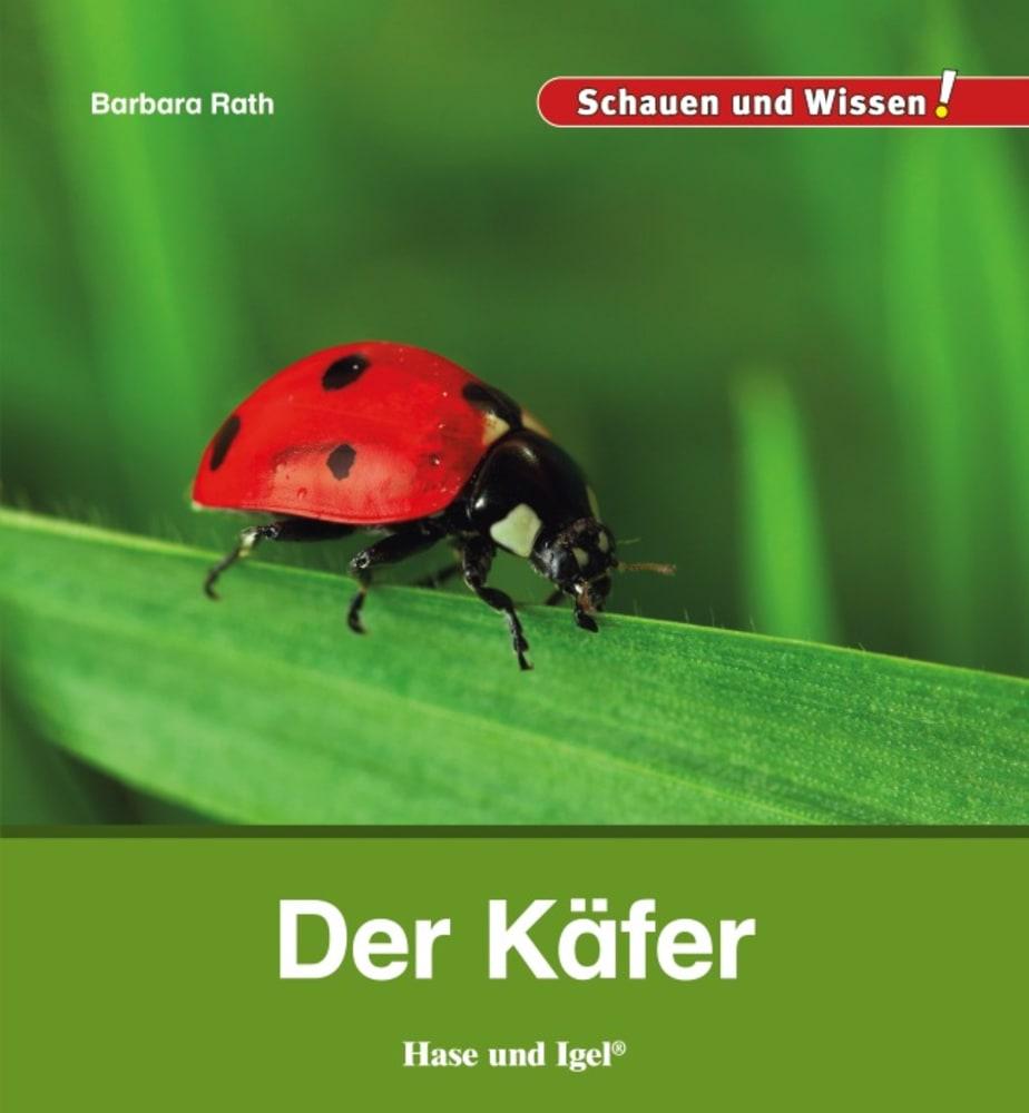 Der Käfer