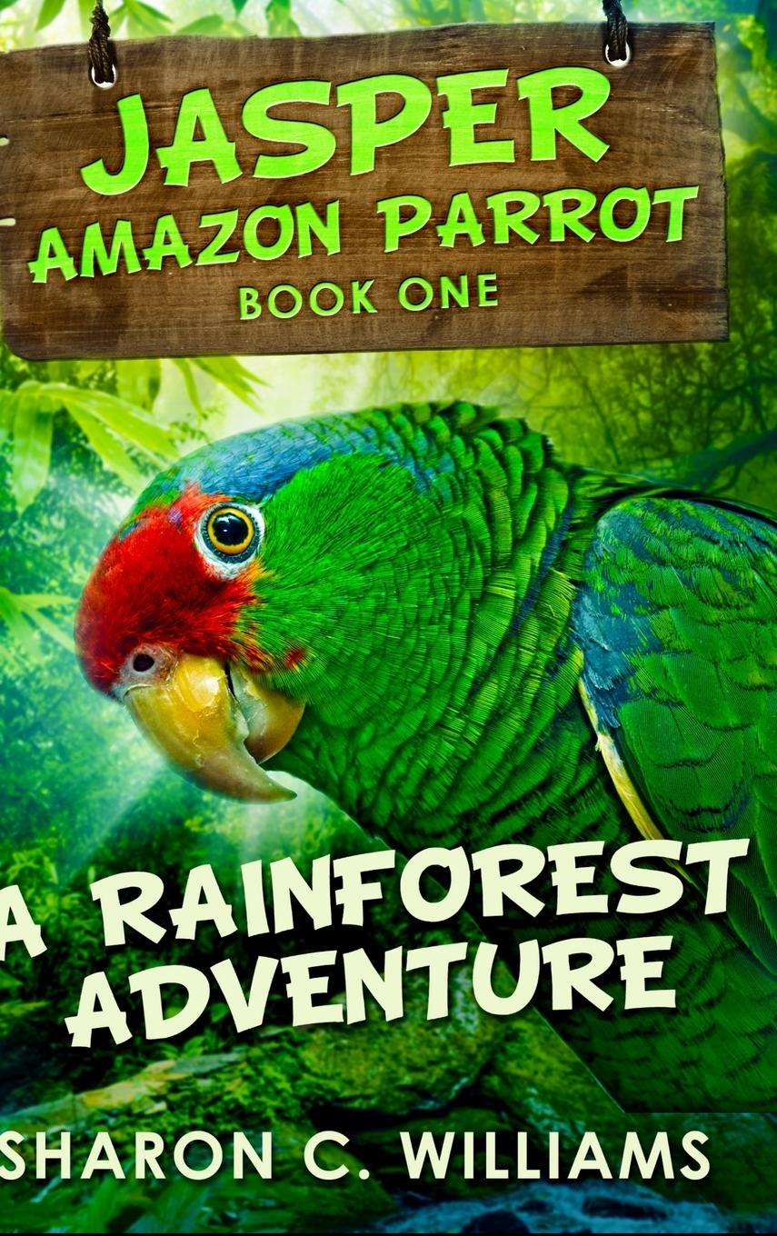 A Rainforest Adventure