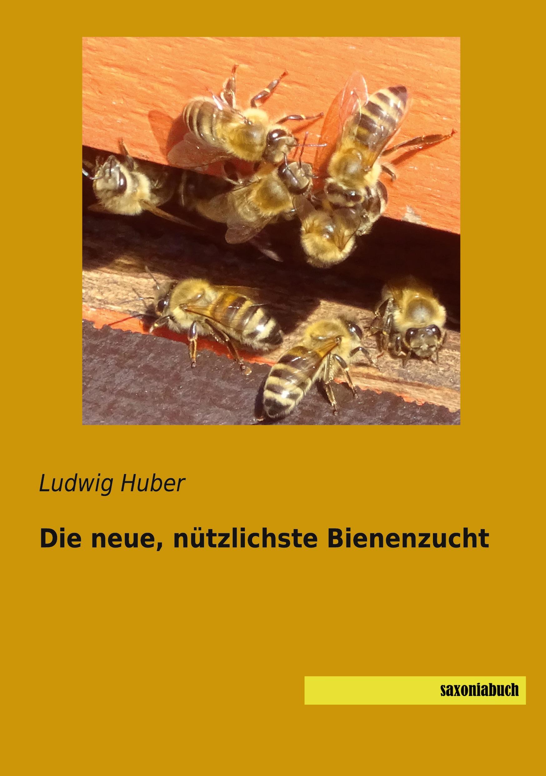 Die neue, nützlichste Bienenzucht