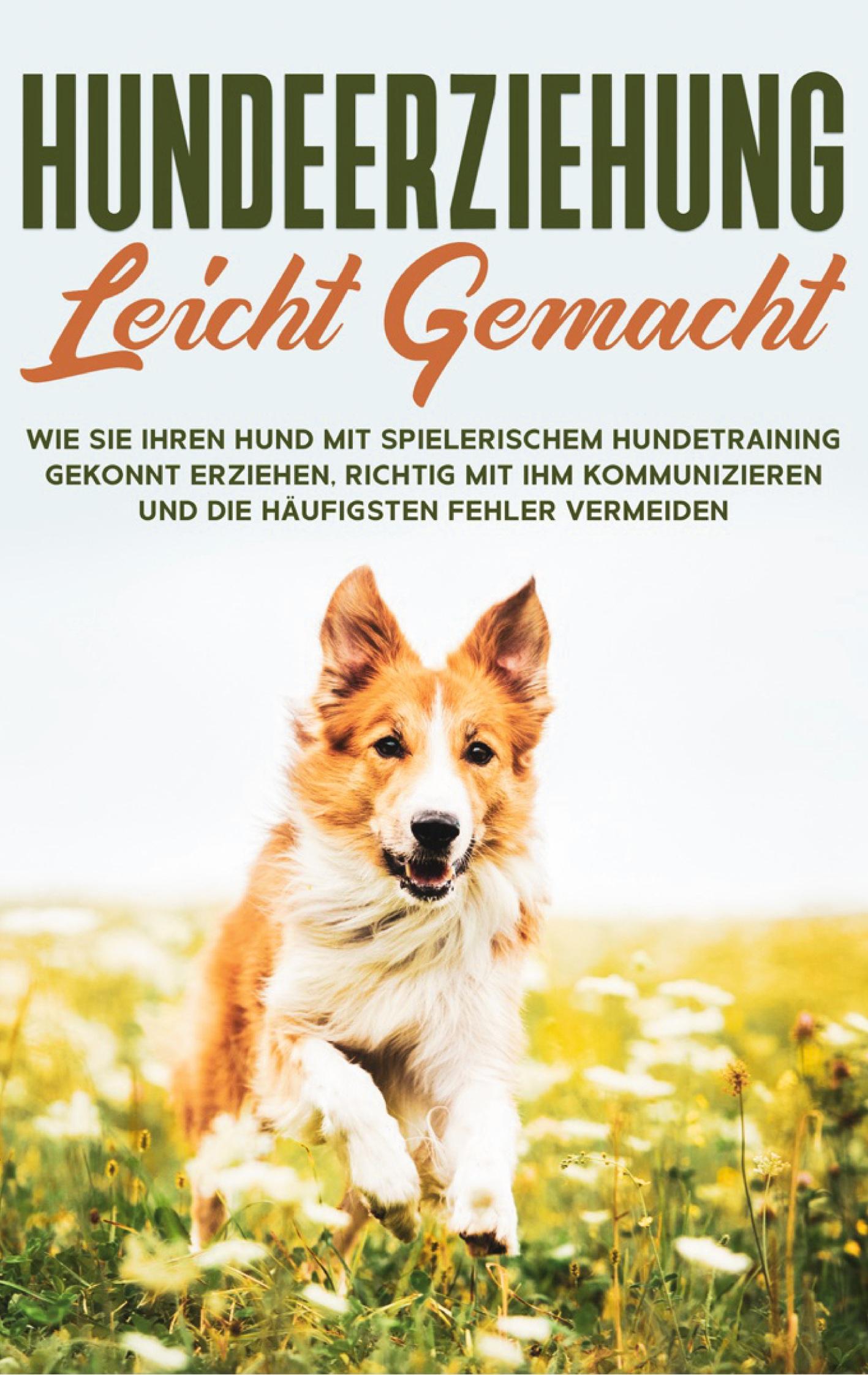 Hundeerziehung leicht gemacht: Wie Sie Ihren Hund mit spielerischem Hundetraining gekonnt erziehen, richtig mit ihm kommunizieren und die häufigsten Fehler vermeiden