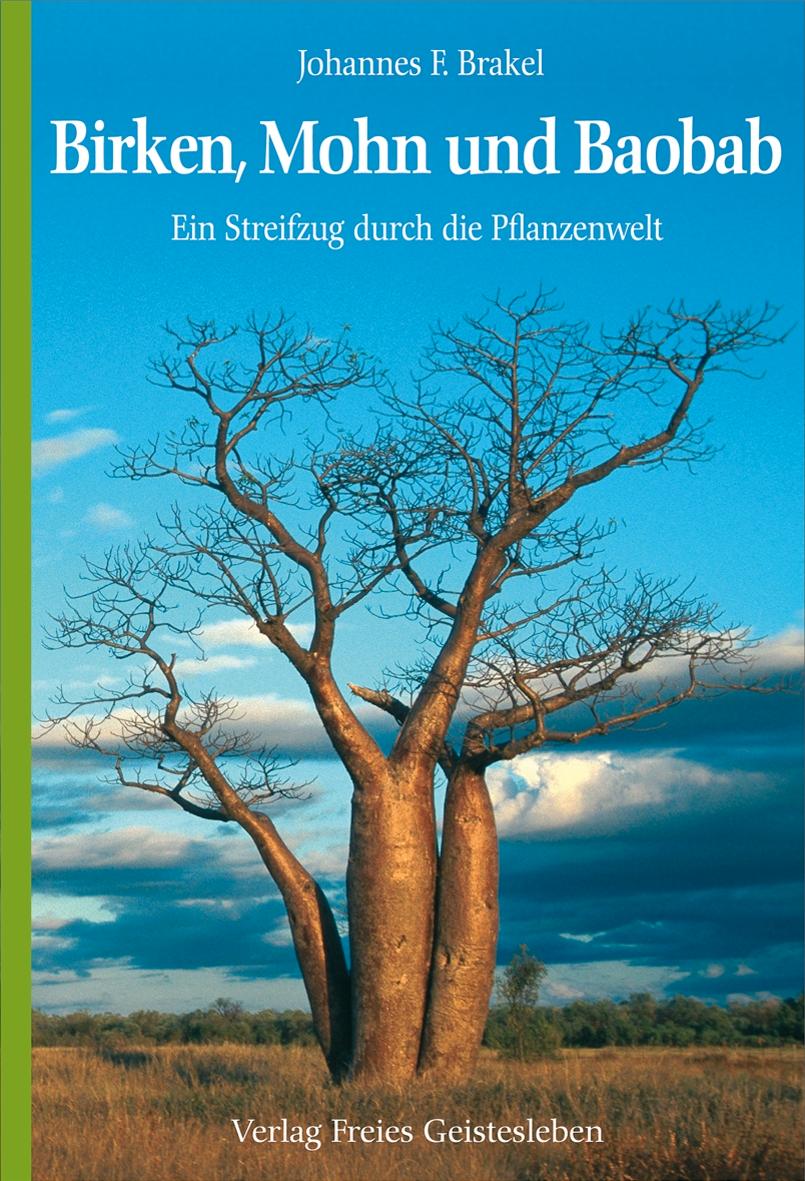 Birken, Mohn und Baobab