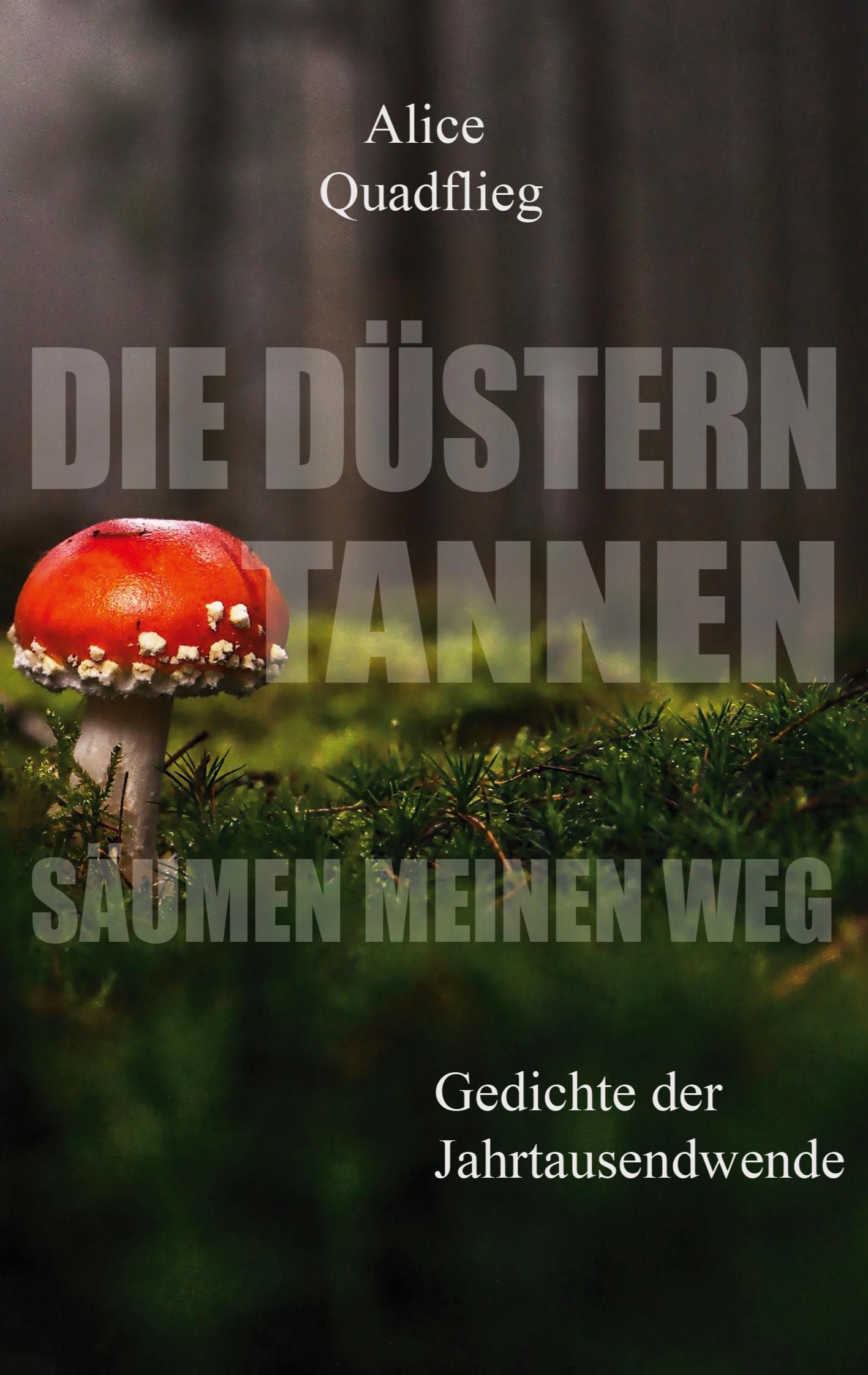 Die düstern Tannen säumen meinen Weg