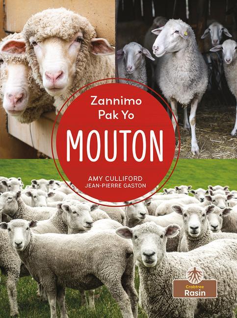 Mouton (Sheep)