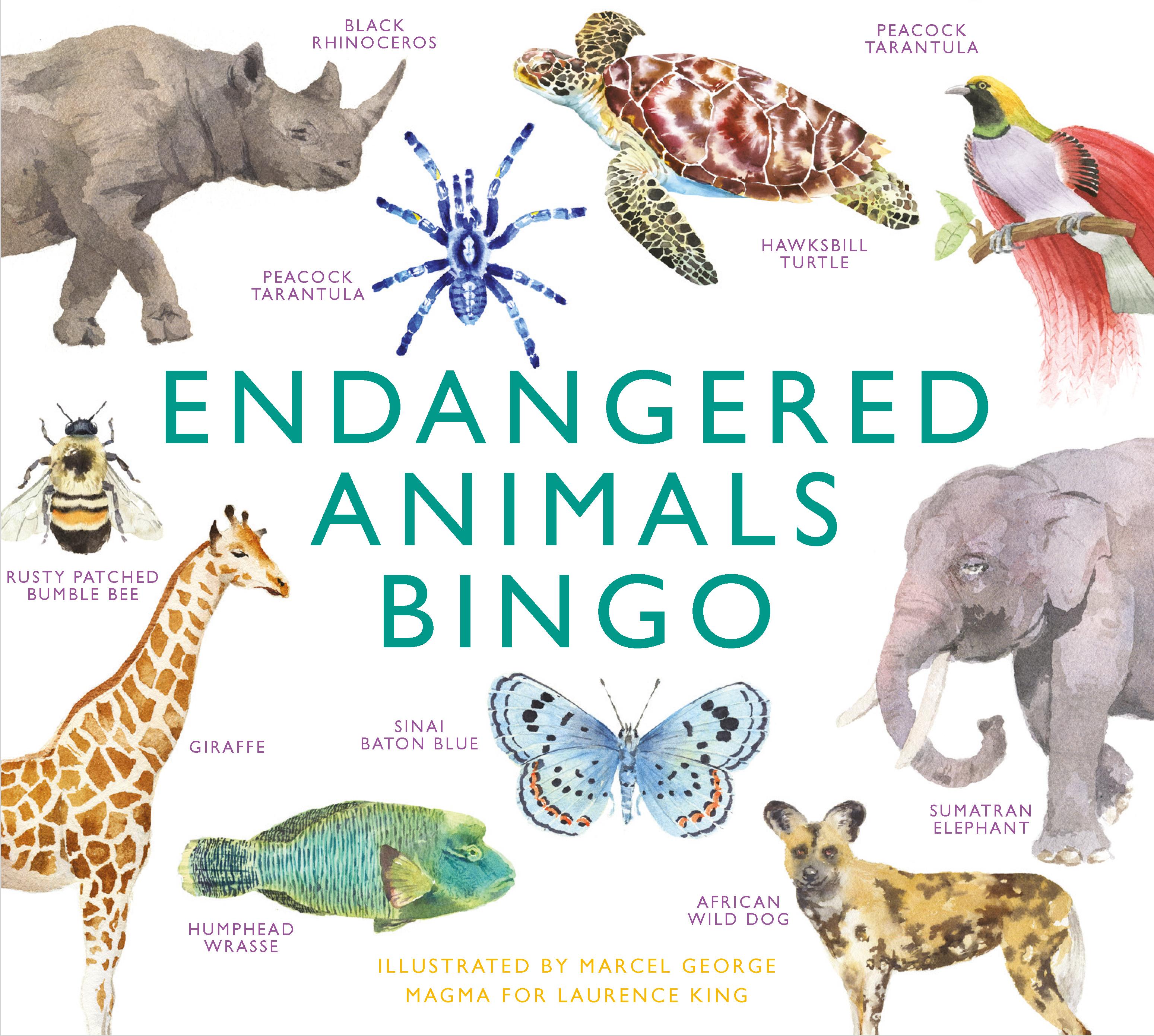 Endangered Animals Bingo: Learn about 64 Threatened Species That Need Our Help