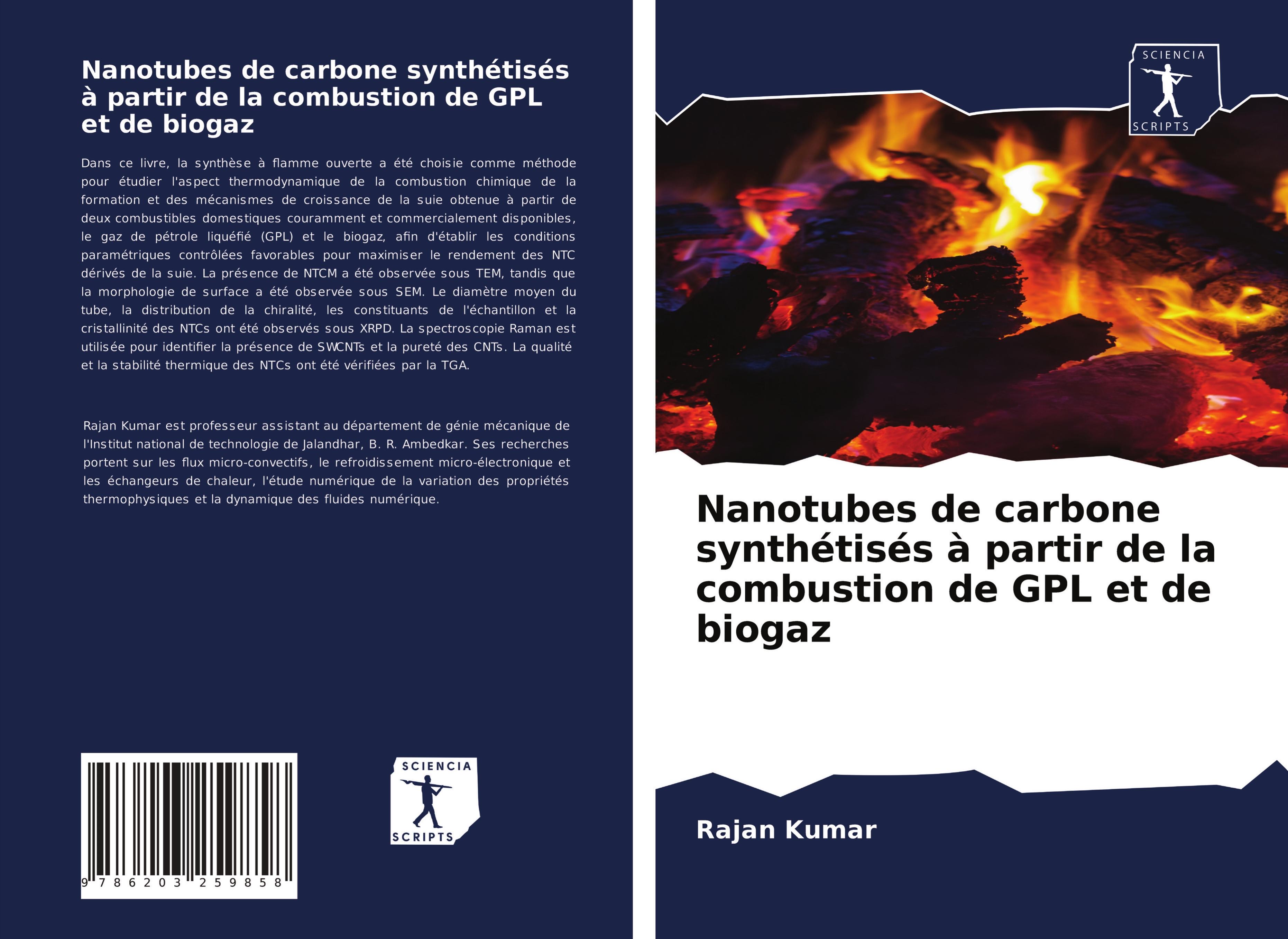 Nanotubes de carbone synthétisés à partir de la combustion de GPL et de biogaz