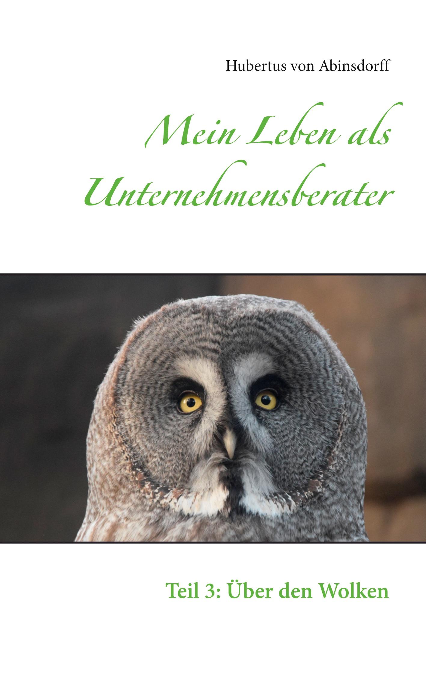 Mein Leben als Unternehmensberater