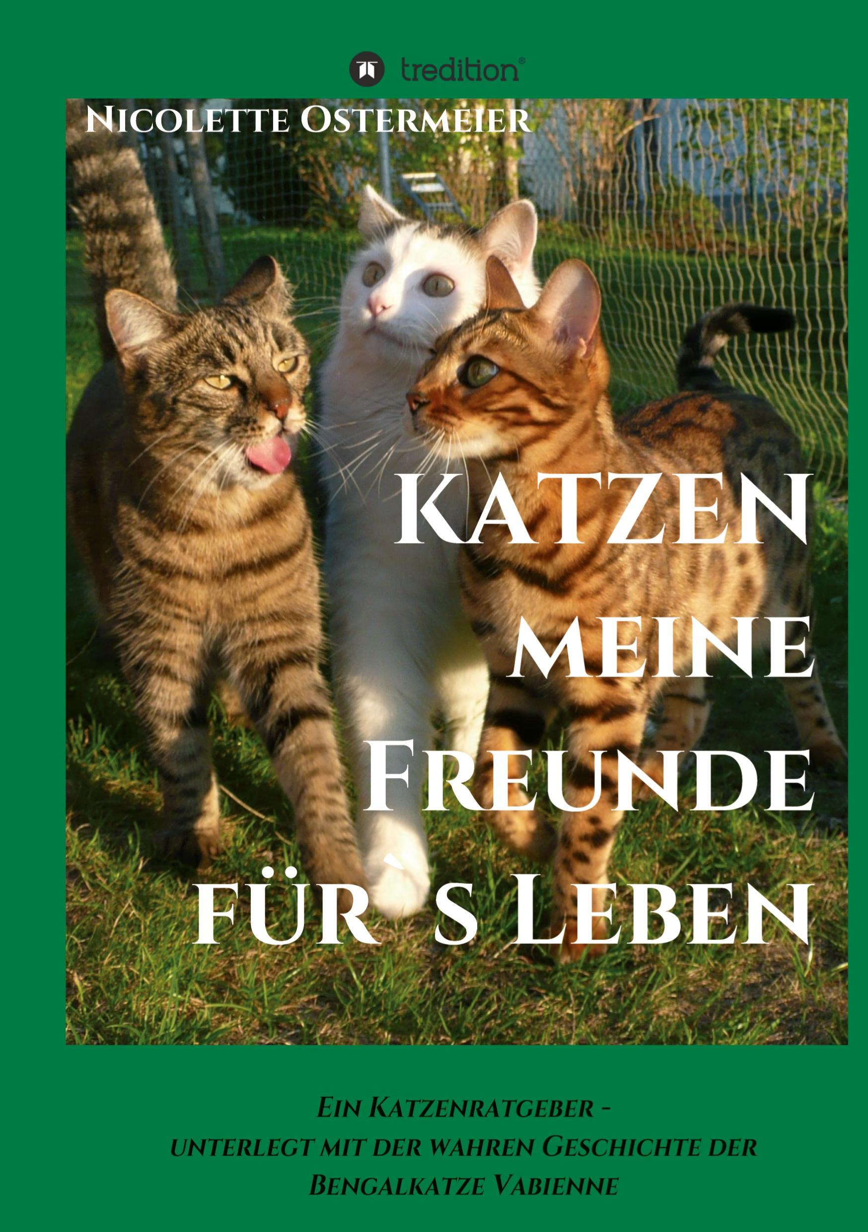 KATZEN - meine Freunde für's Leben