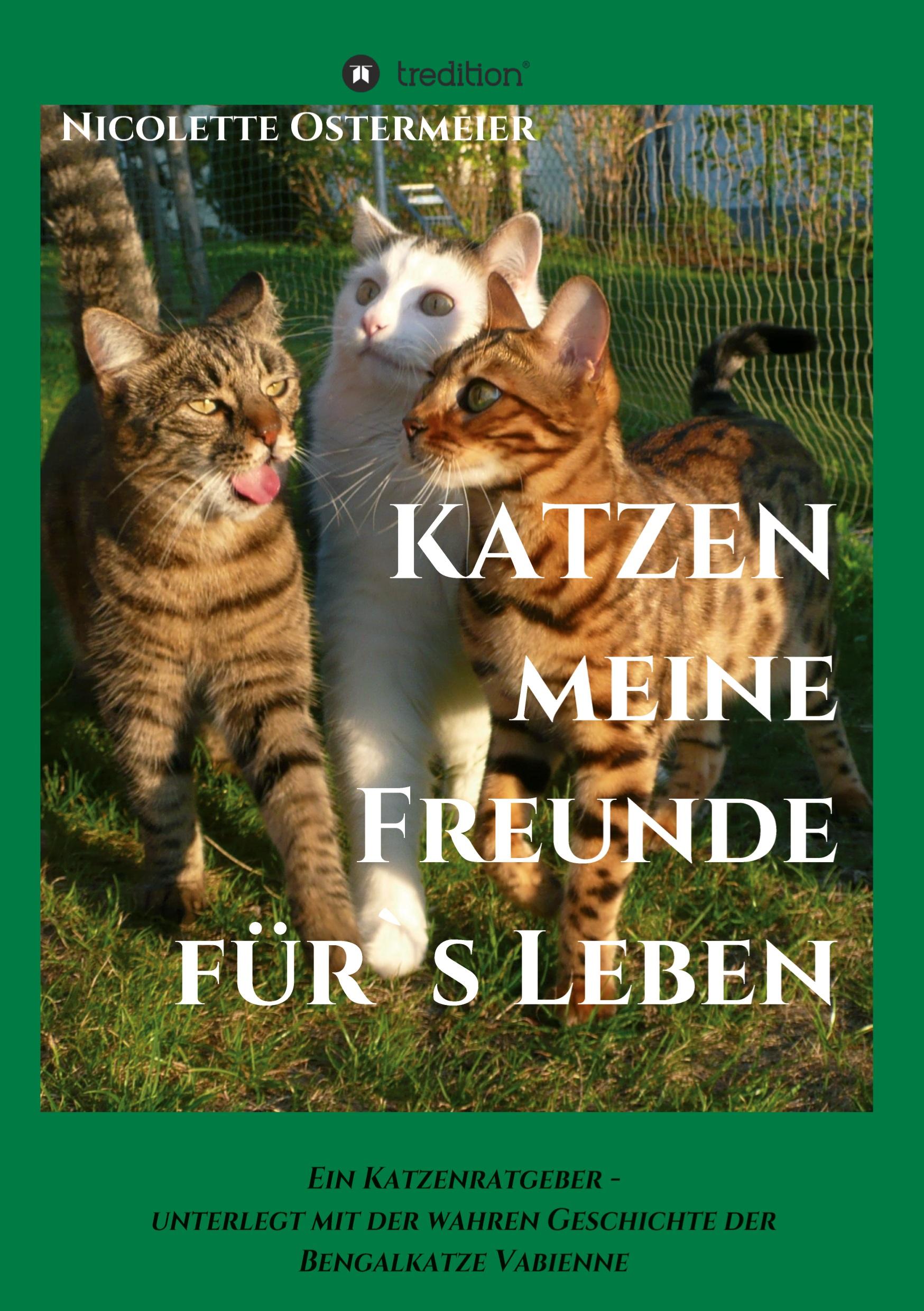 KATZEN - meine Freunde für's Leben