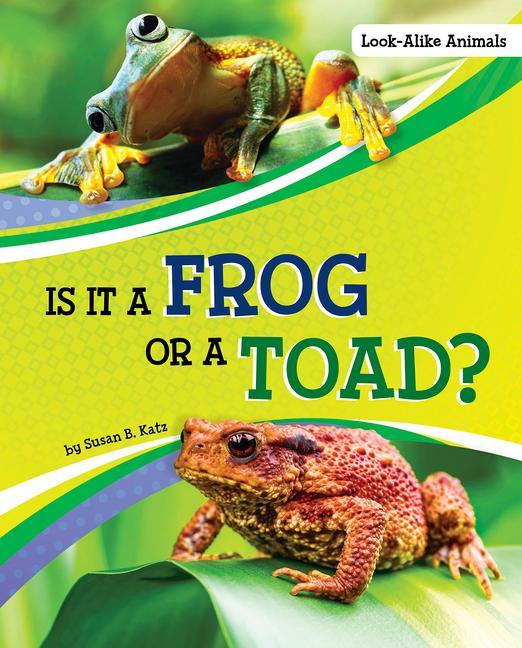 Is It a Frog or a Toad?