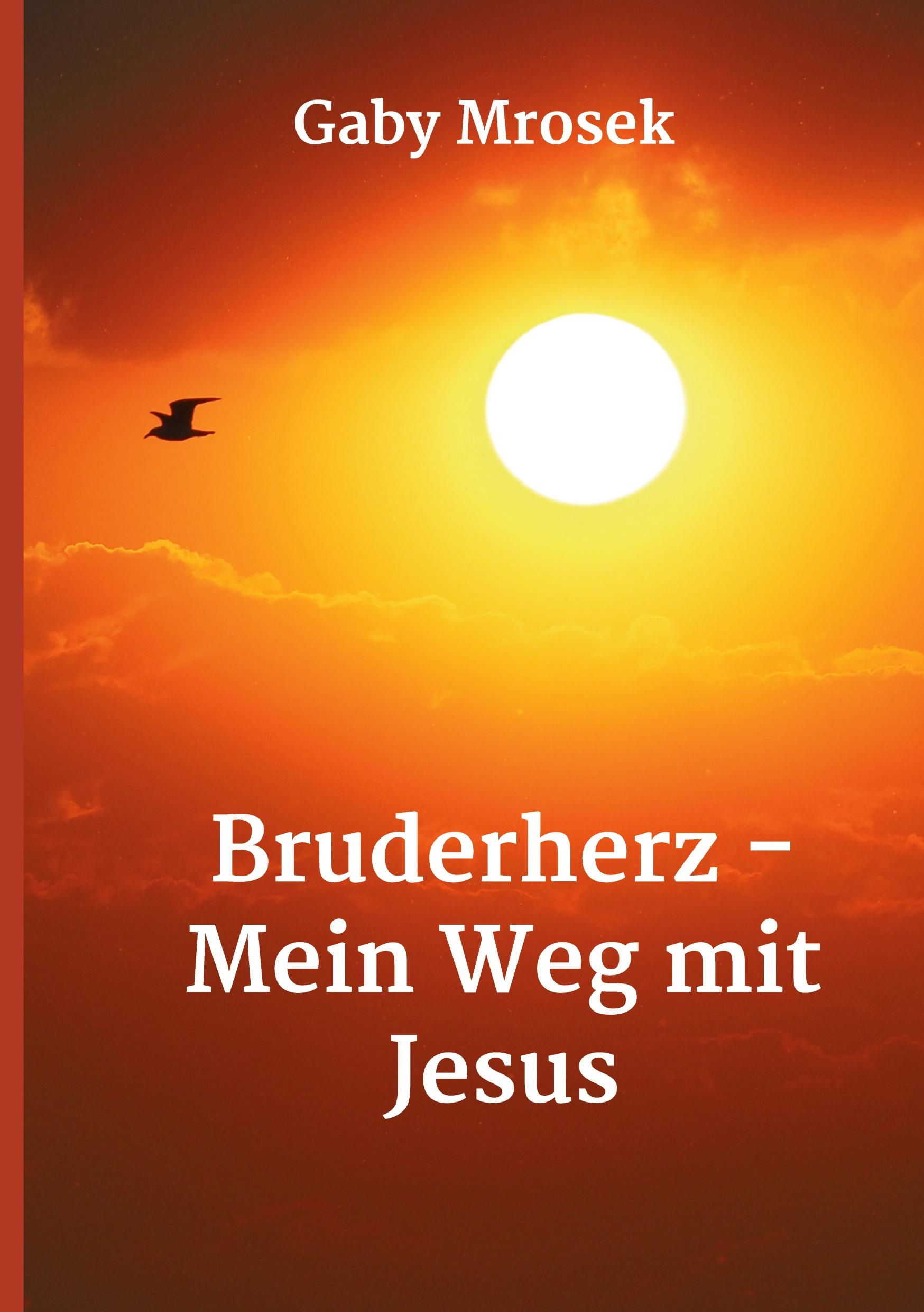 Bruderherz - Mein Weg mit Jesus