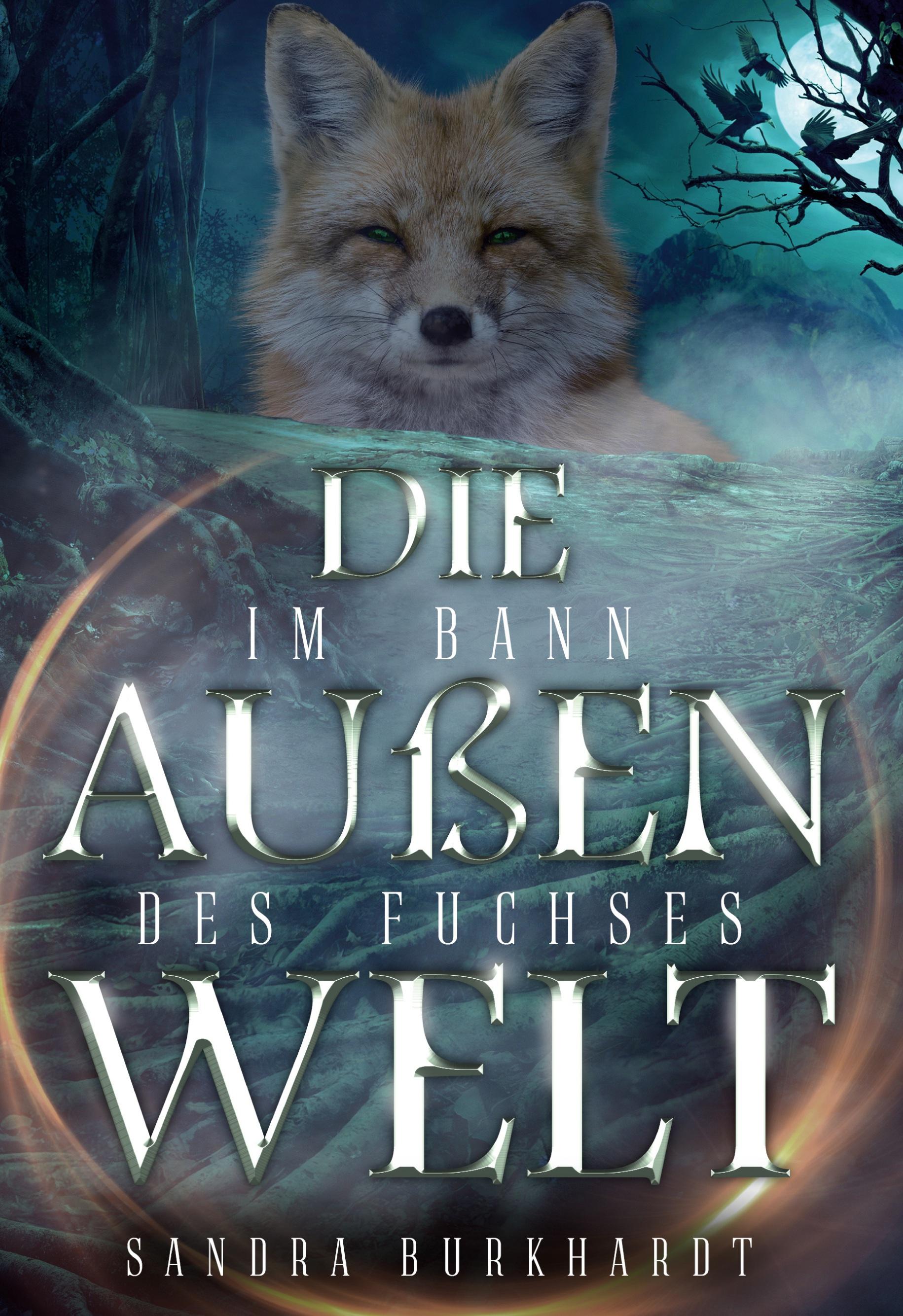 Die Außenwelt