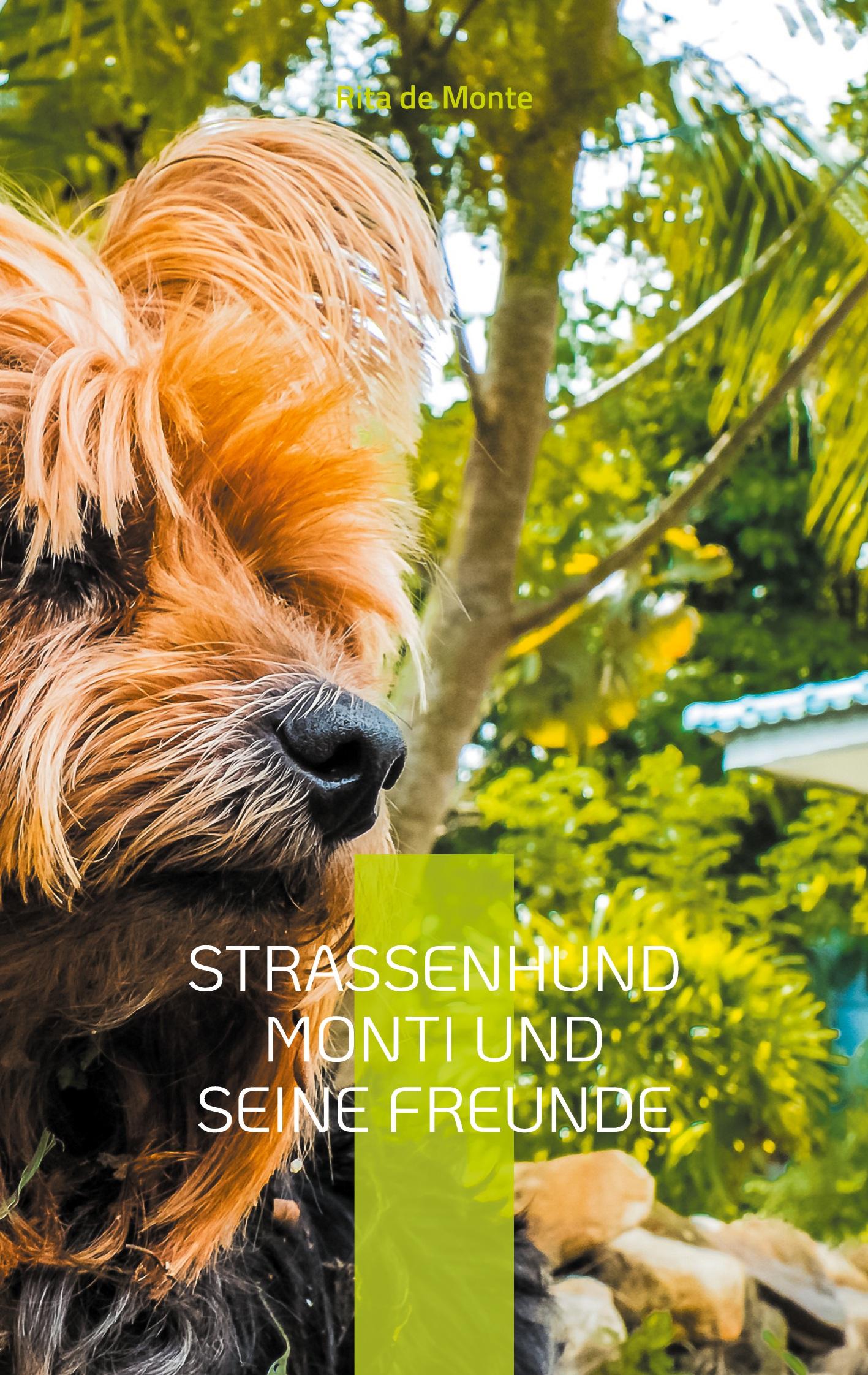 Straßenhund Monti und seine Freunde