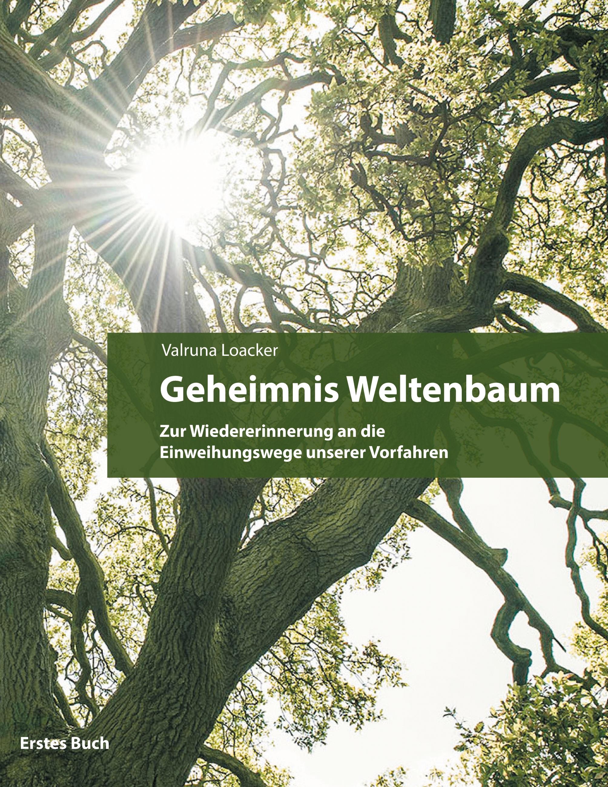 Geheimnis Weltenbaum