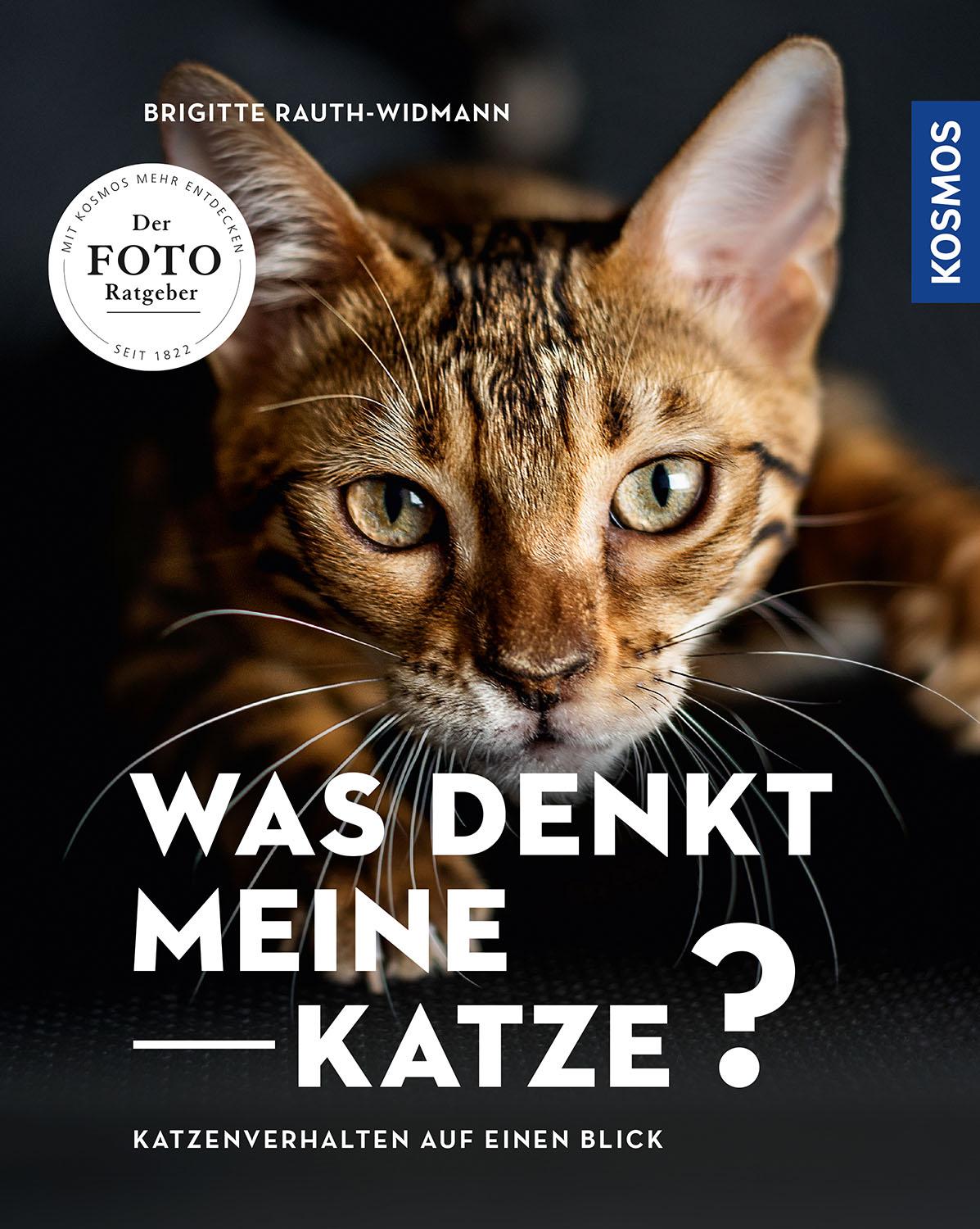 Was denkt meine Katze