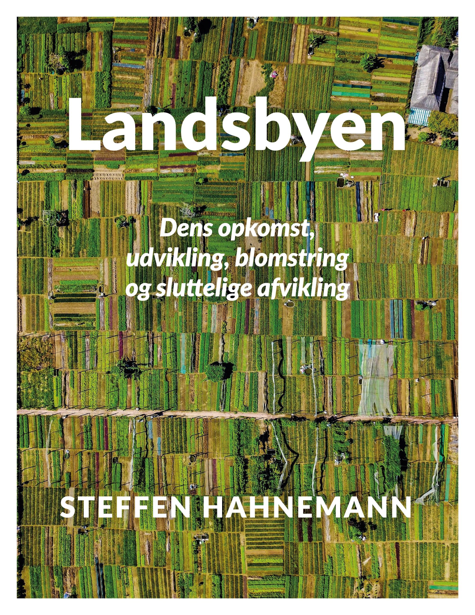 Landsbyen