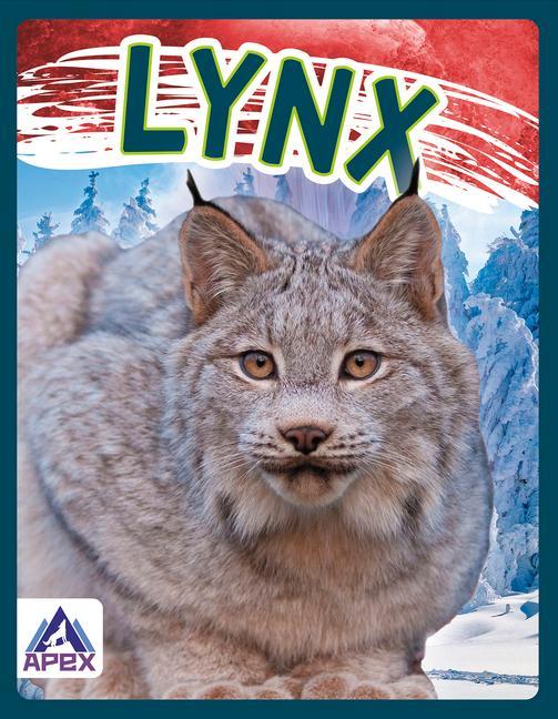 Lynx