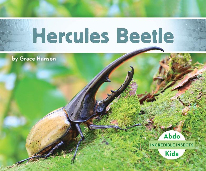 Hercules Beetle