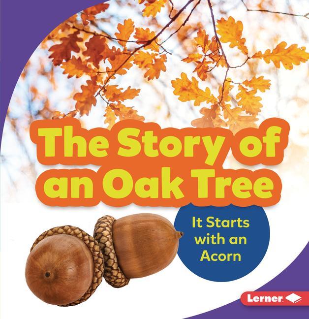 The Story of an Oak Tree