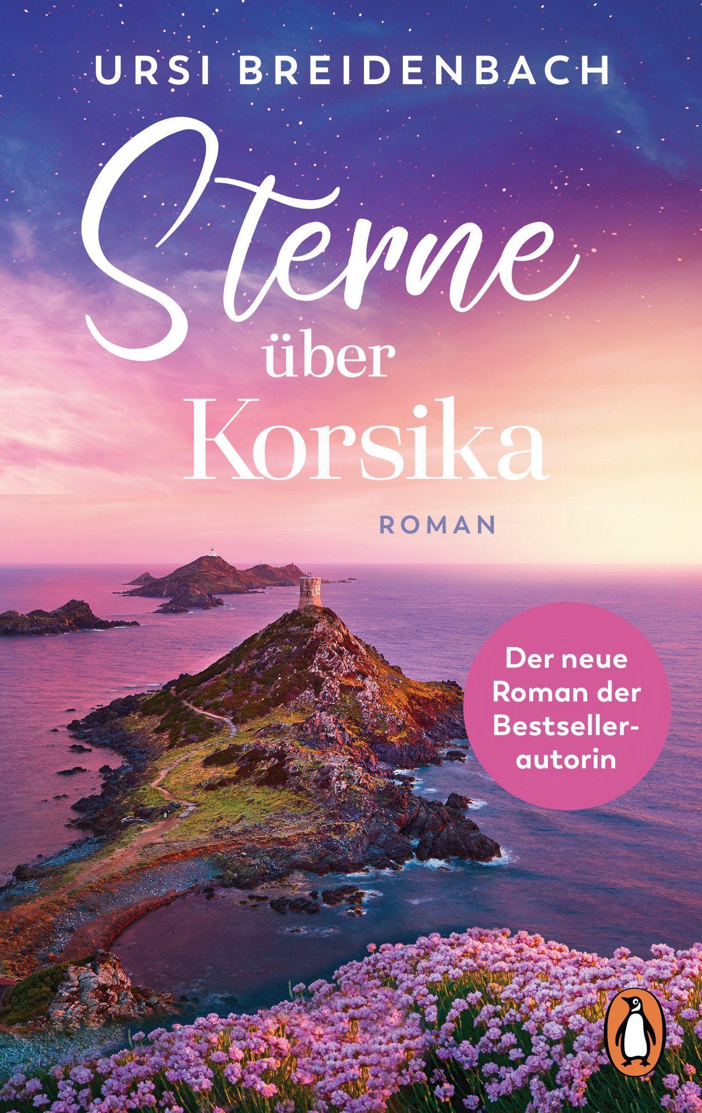 Sterne über Korsika