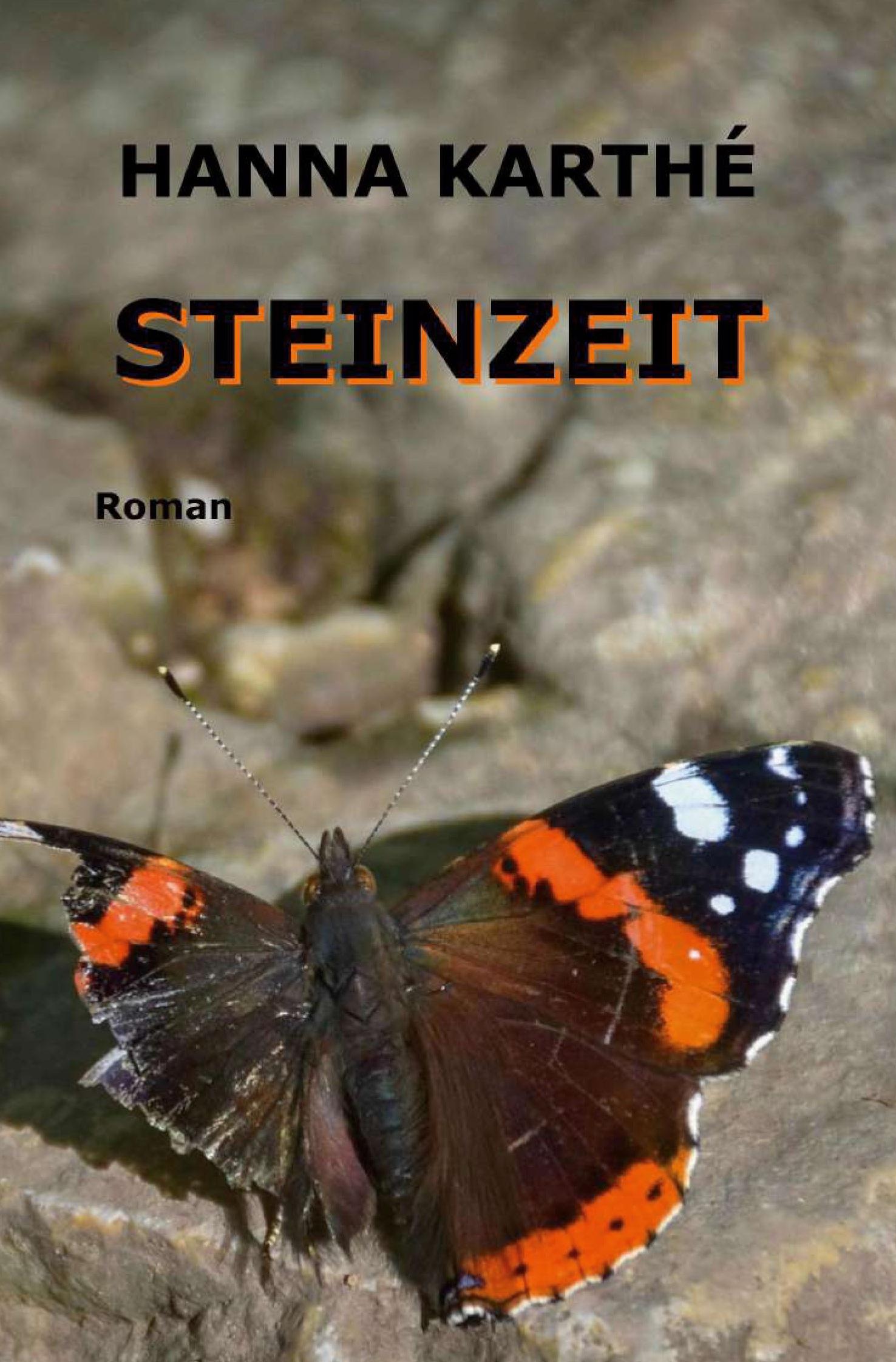 Steinzeit