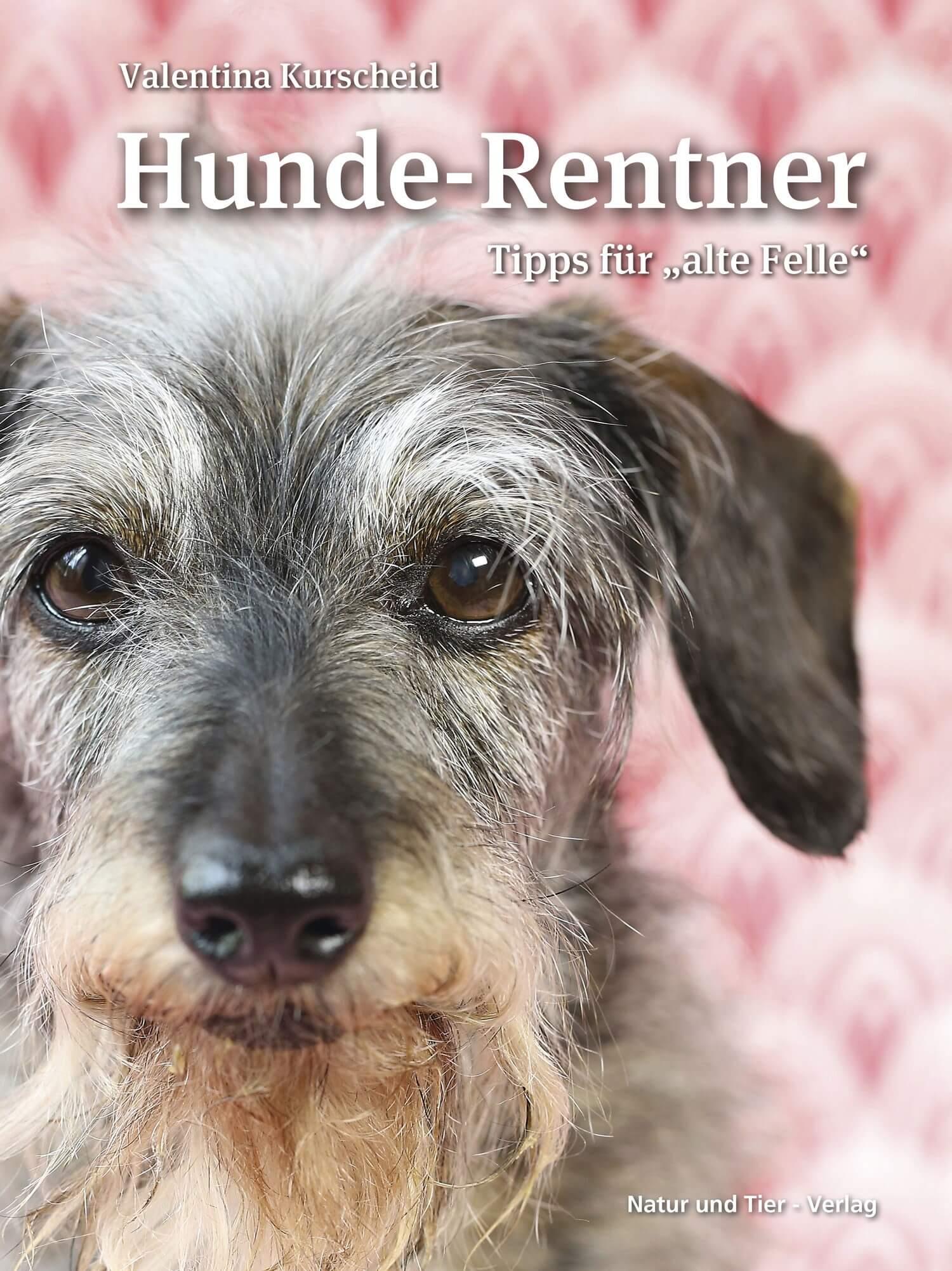 Hunde-Rentner