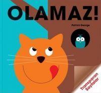 Olamaz