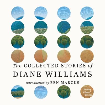 The Collected Stories of Diane Williams