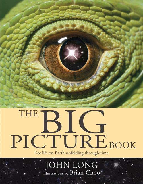 The Big Picture Book